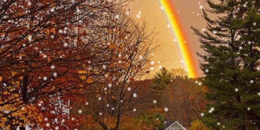 aisyah_bte's profile banner image