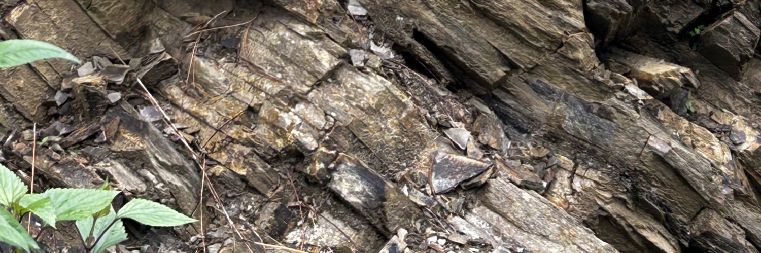 Bharat Ka Gaurav banner