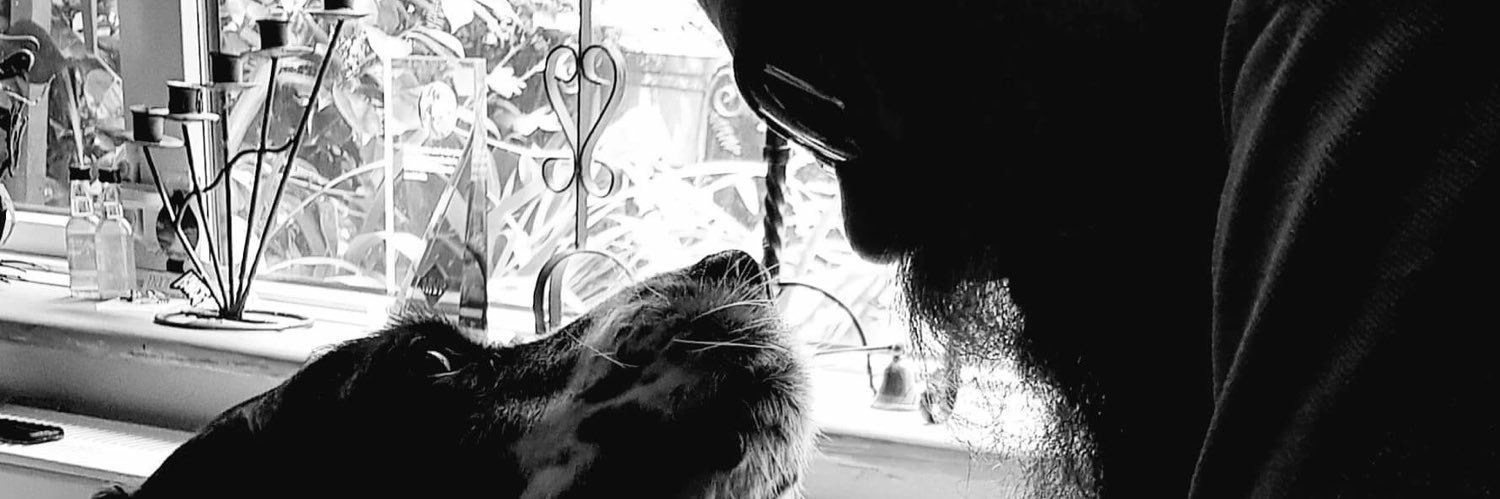 sqldbawithbeard's profile banner image