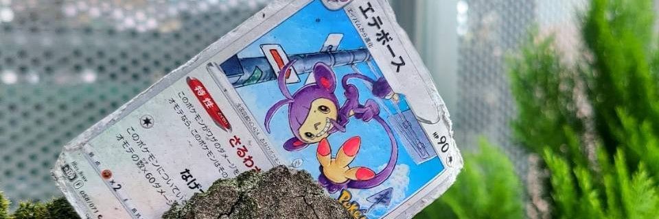 FairyTrainerManta banner