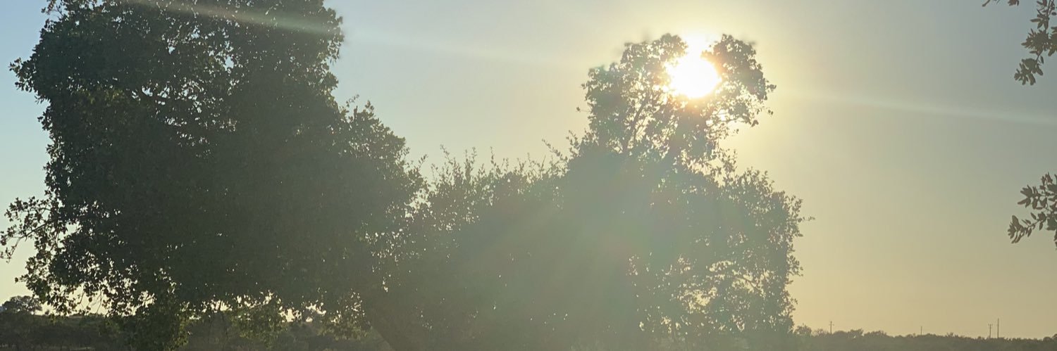 Alexandra Nogal banner