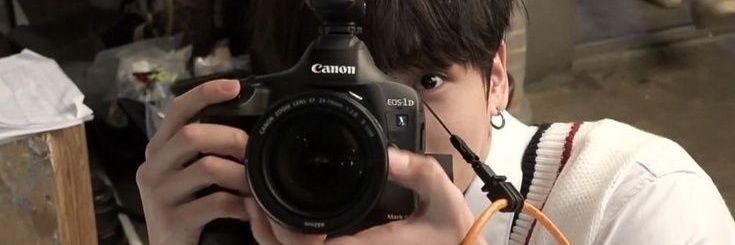 vic banner