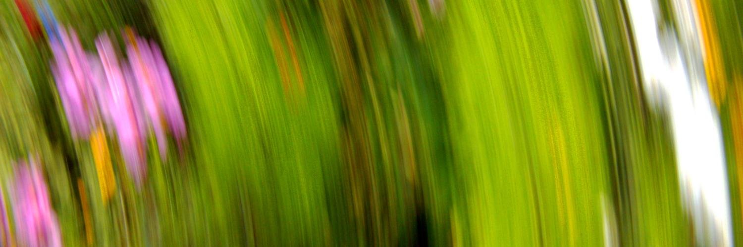 Jamie Wardrop banner