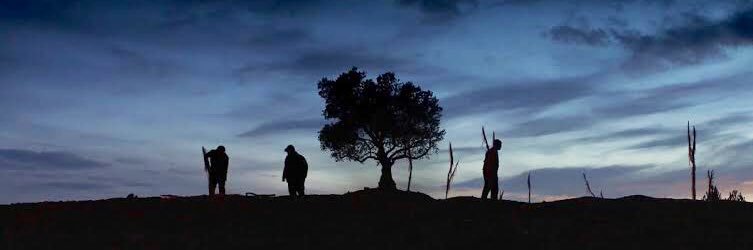 HalilGoldstone's profile banner image