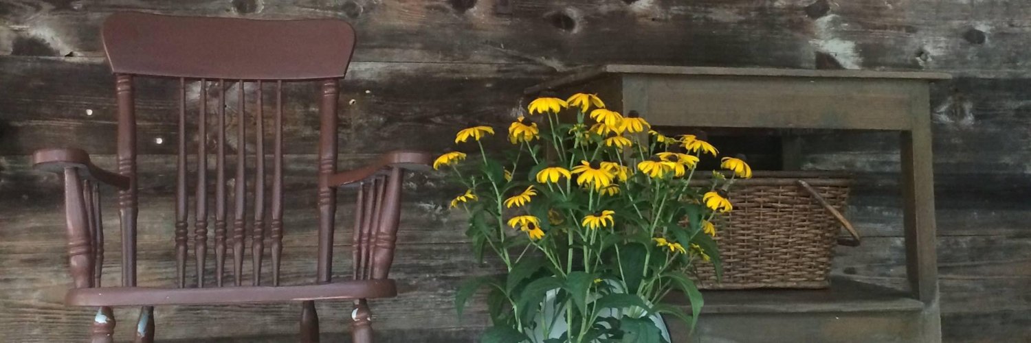 Laura Kebede-Twumasi banner