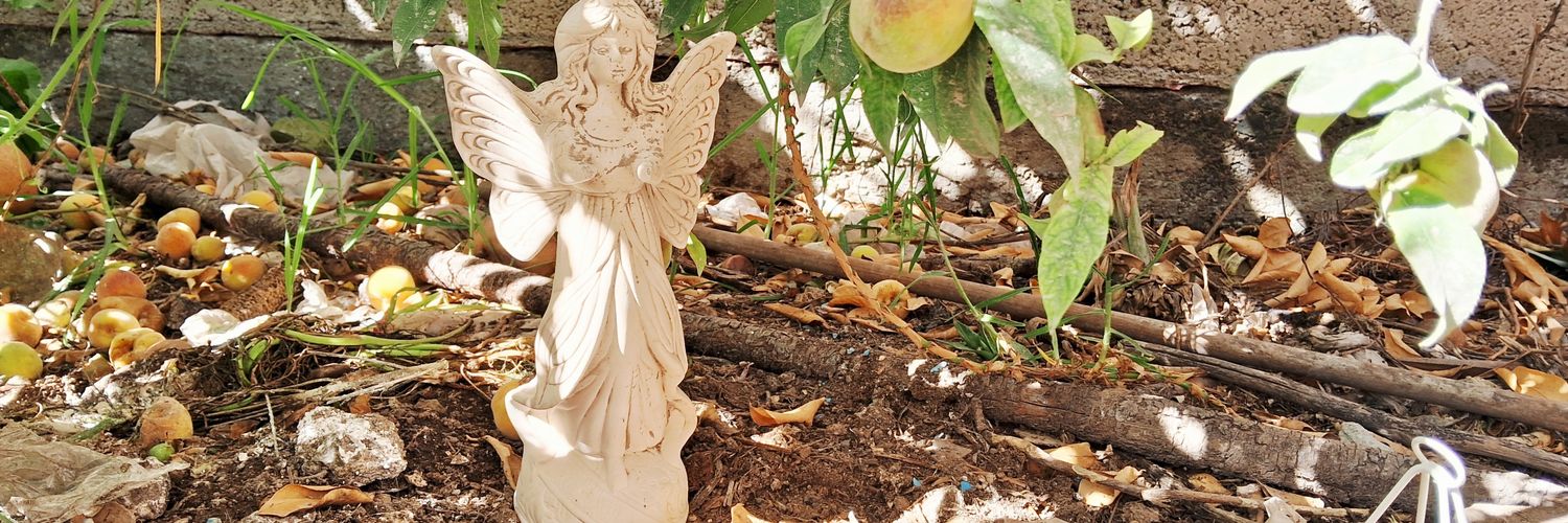 ☆.°• *Mirova~*?★°•` banner