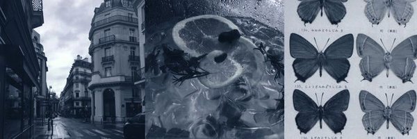 raliouve Profile Banner