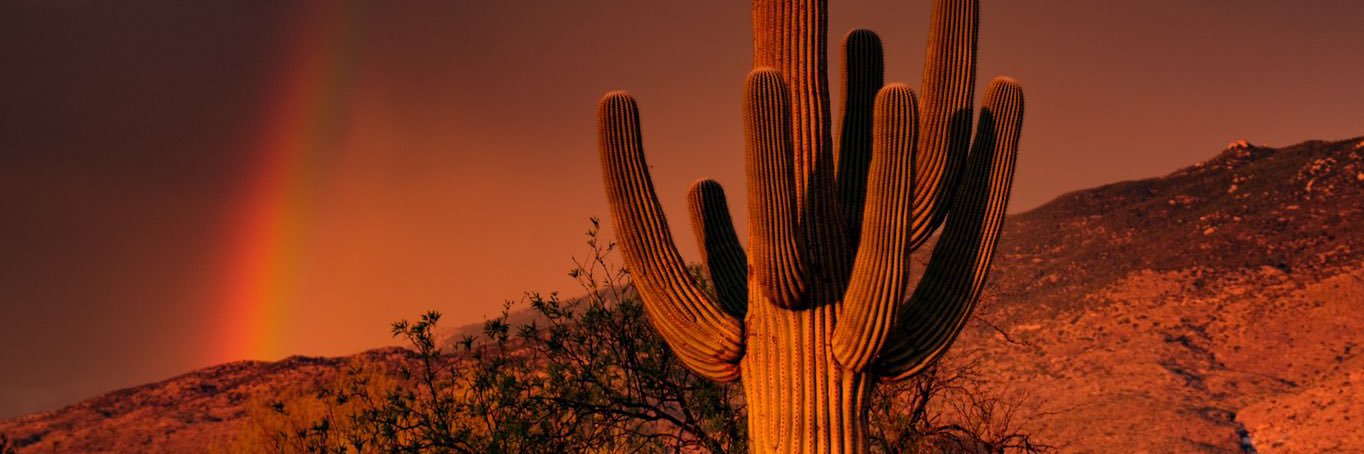 ChasingUrDream_'s profile banner image