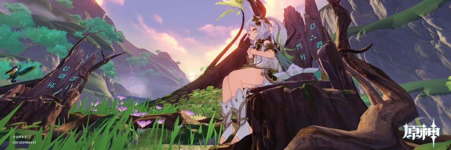 瑤瑤的草神 banner