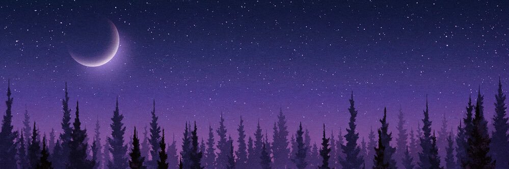 romain_dvs's profile banner image