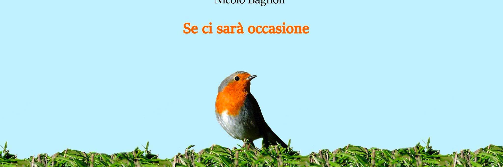 NicBagnoli's profile banner image