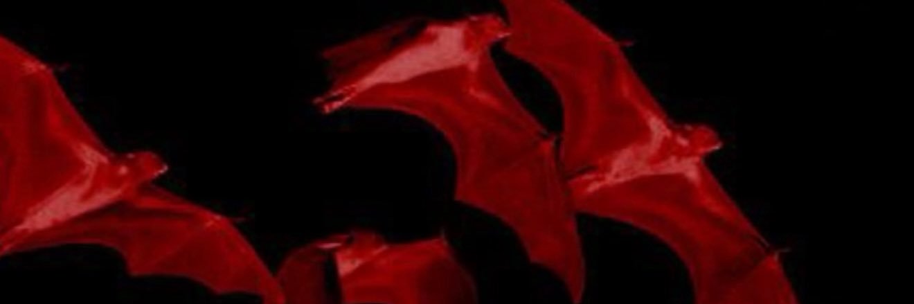 like.yeah.girl banner