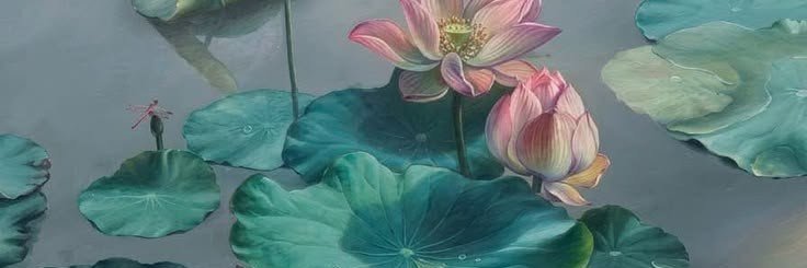 da_na56326's profile banner image