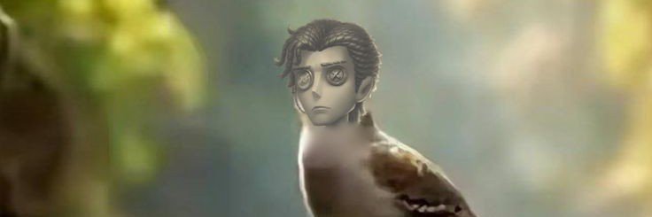 RayInTheHaws's profile banner image