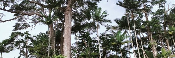 satoverma Profile Banner