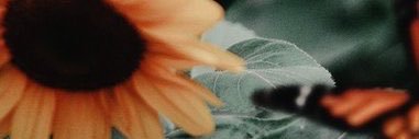 Memory_nate's profile banner image
