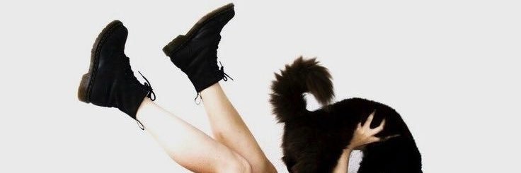 ˖dollᲘ𐑼⋆ banner