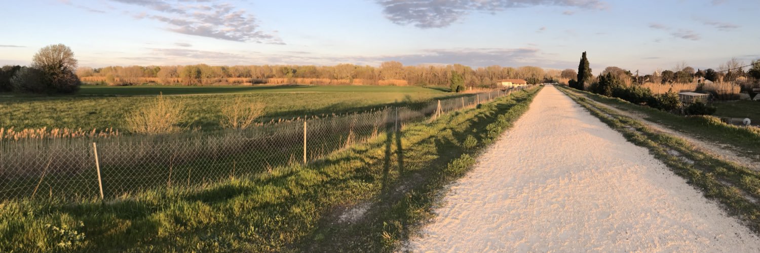 Miguel Angel Fajardo banner