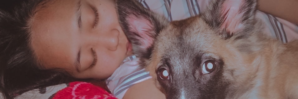 amaeminggg's profile banner image
