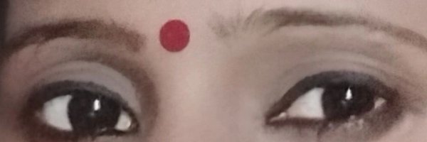 SeemaSingh2034 Profile Banner