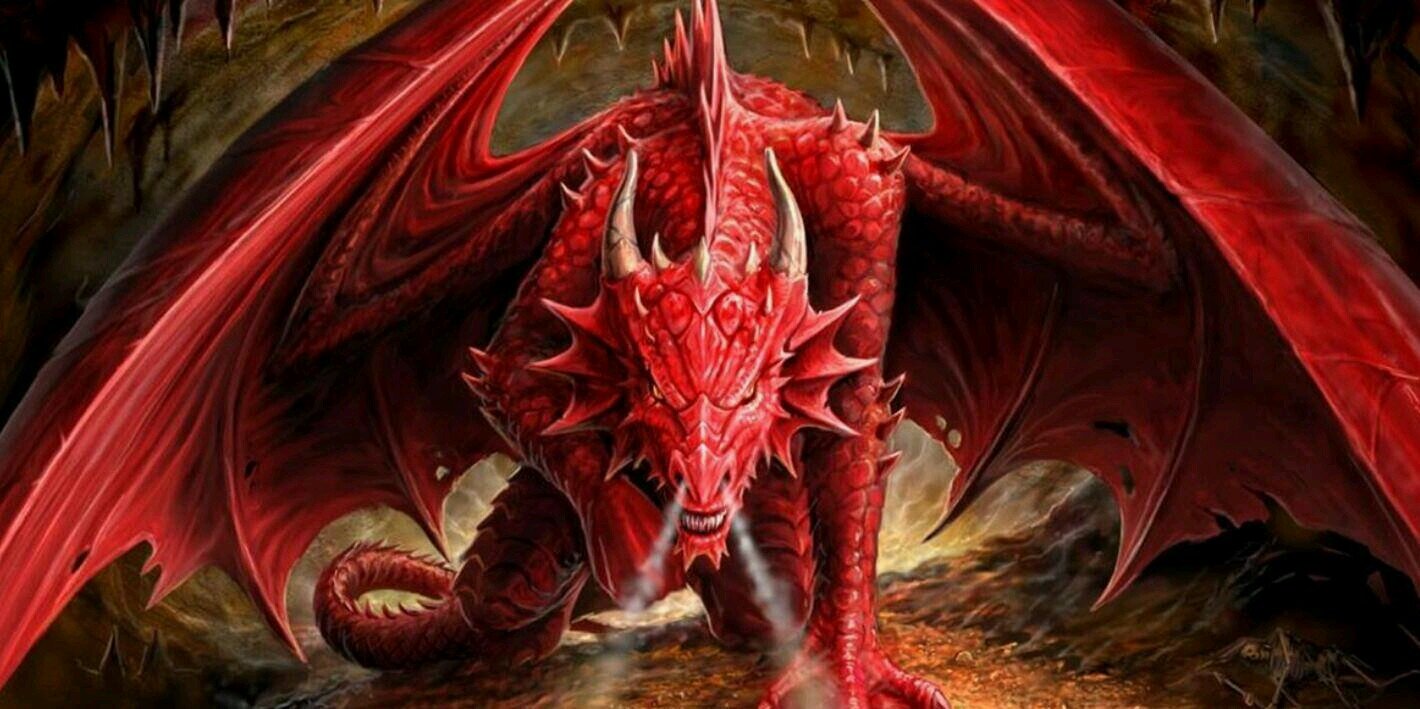 Dragon_hunter31's profile banner image