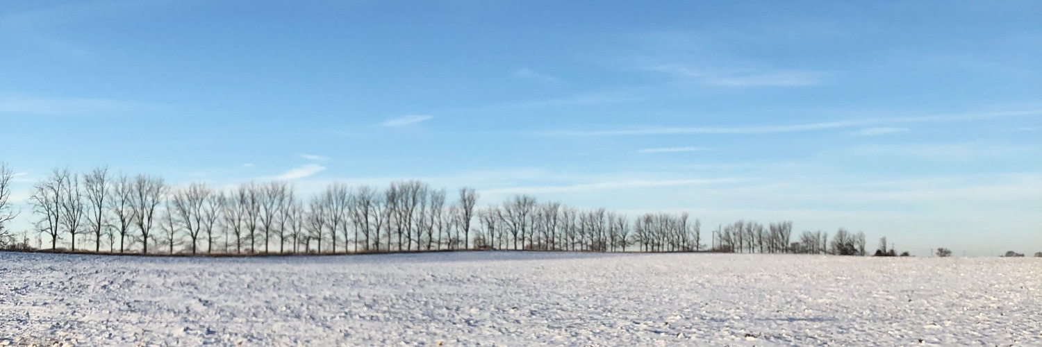vulcanidentity's profile banner image