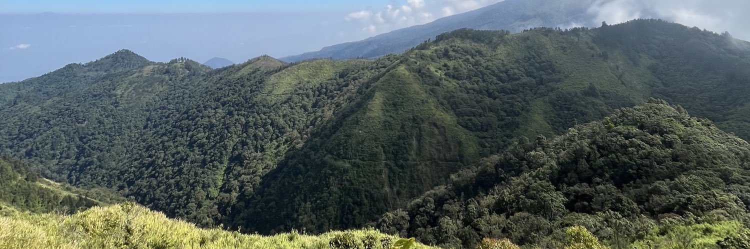 avocadoseedballs banner