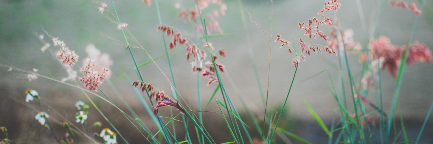 uwandda's profile banner image