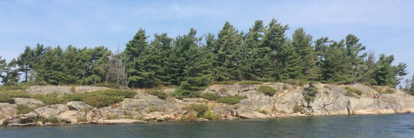 TomPark1n Profile Banner