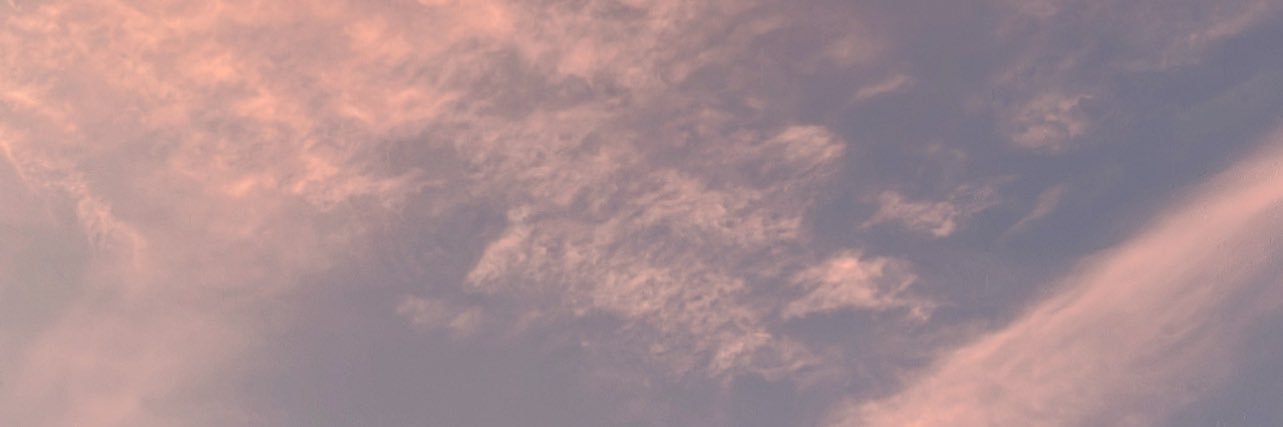 thepalm___'s profile banner image