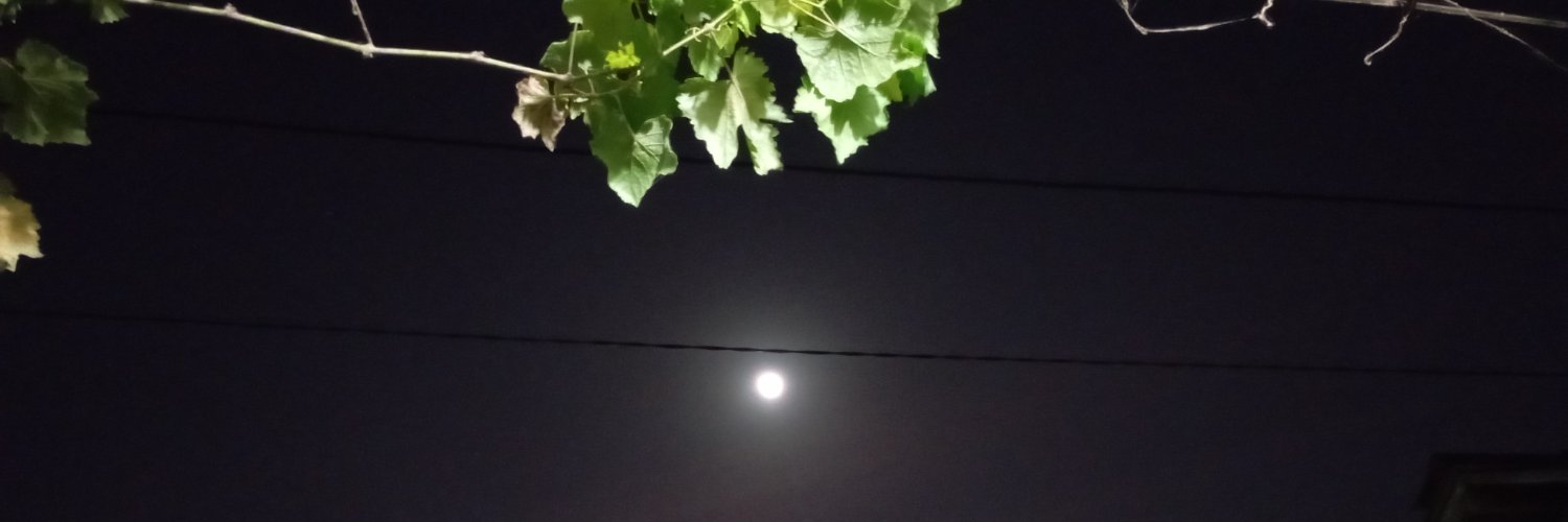 mazznoer's profile banner image