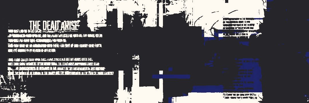 cae. banner
