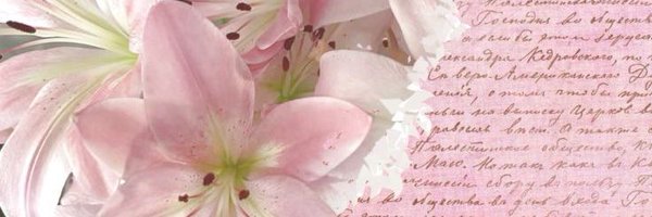 amirassoles Profile Banner