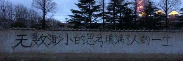 苦泡泡。 banner
