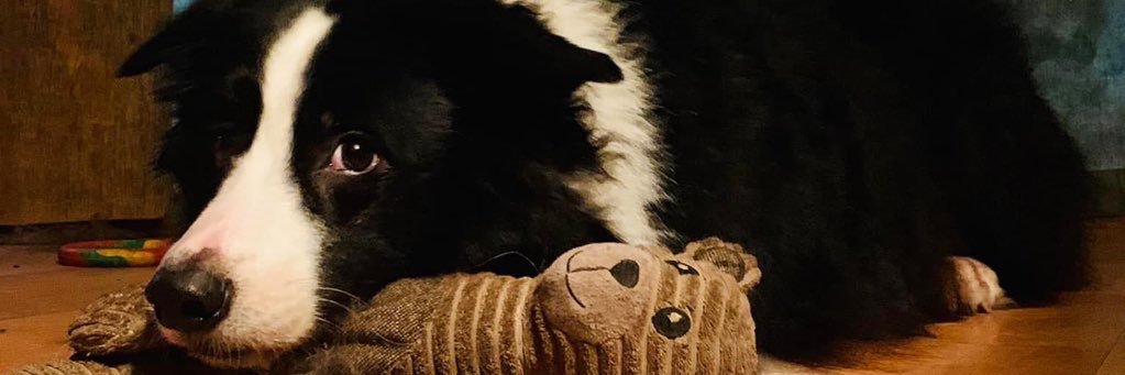 Braiden banner