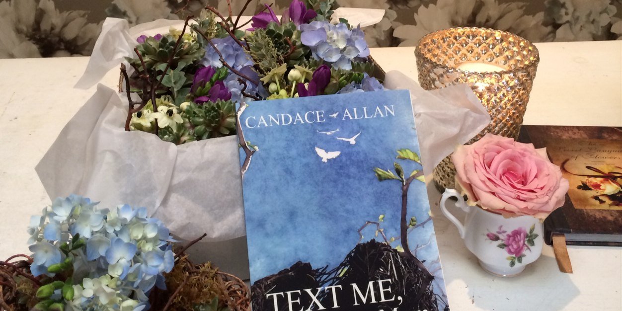 CandaceAllan's profile banner image