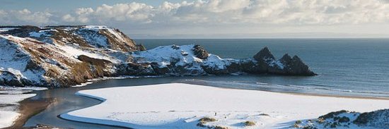 Stef_Coastal's profile banner image