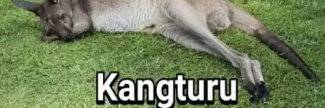 jumpuru's profile banner image