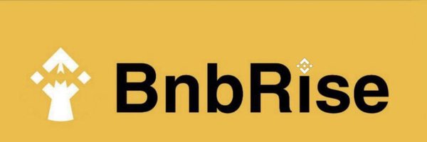 BnbRiseDefi Profile Banner