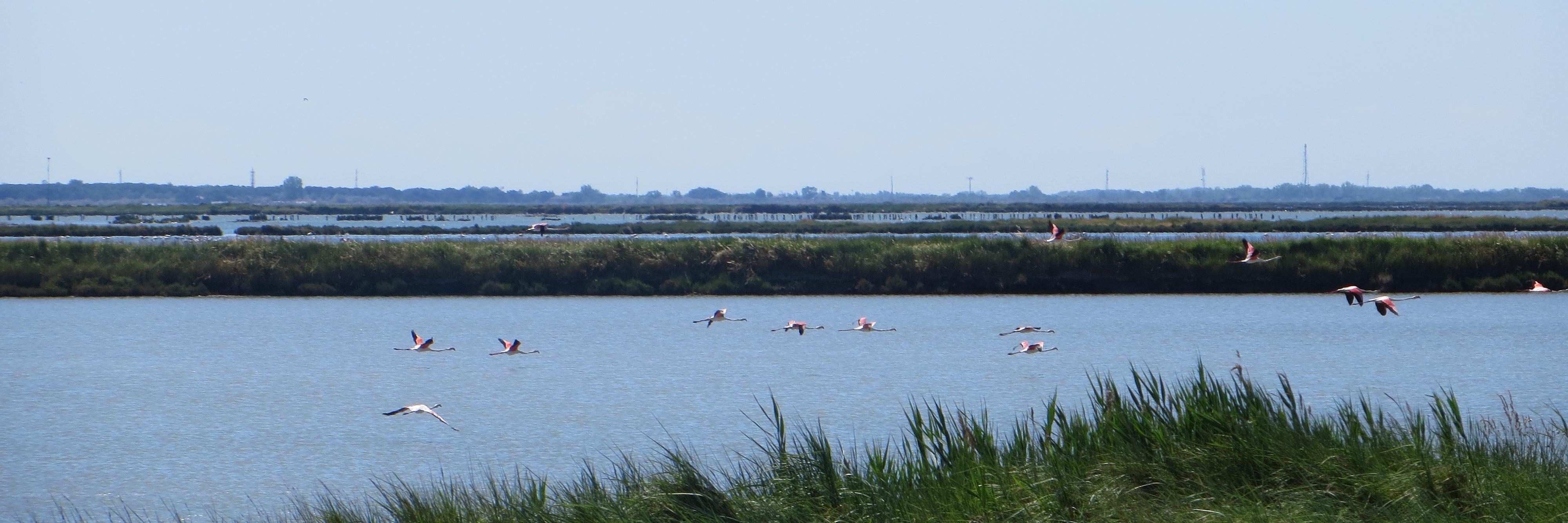 LAIDIN Catherine banner