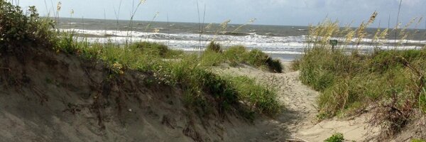 SClarke_Realtor Profile Banner