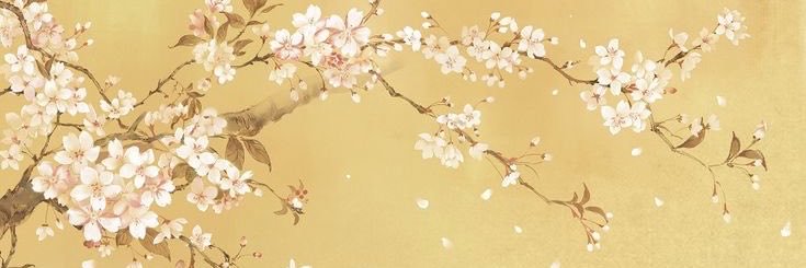 acervh2h's profile banner image