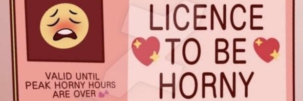 diva banner