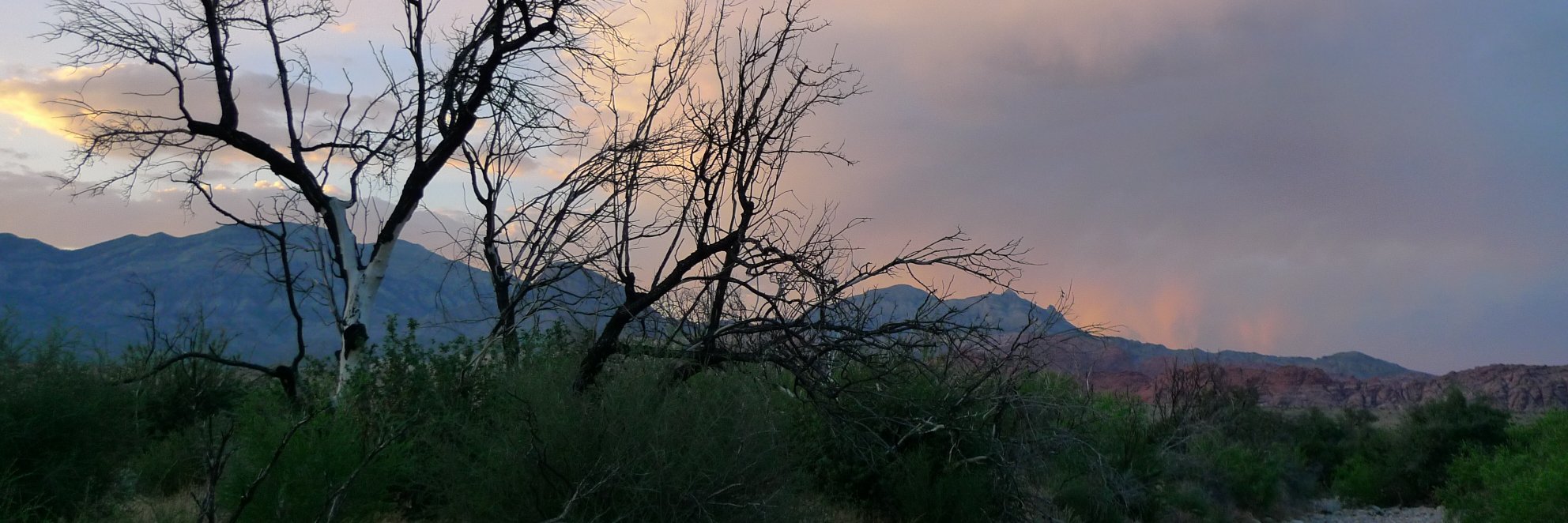 Arnel Sarmiento banner