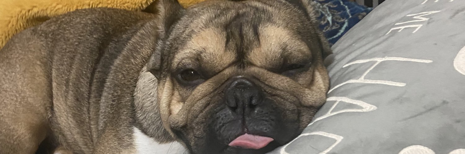 summmerx's profile banner image