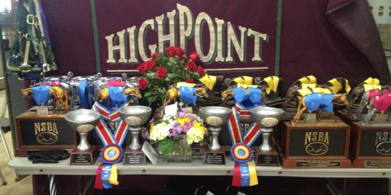 HP Performance banner
