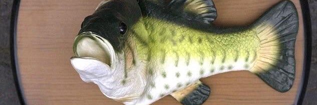BassGod42069 banner