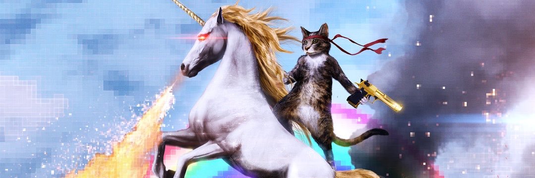 seocat's profile banner image