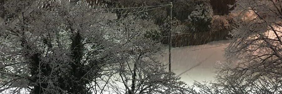 WIYA1011's profile banner image