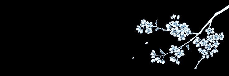 ꒰ 𝖧α𝐧𝗓𖦹 . ₊˚⊹ banner